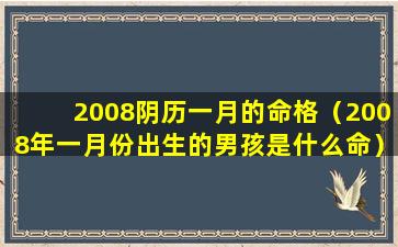 2008阴历一月的命格（2008年一月份出生的男孩是什么命）