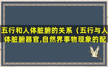 五行和人体脏腑的关系（五行与人体脏腑器官,自然界事物现象的配属关系）