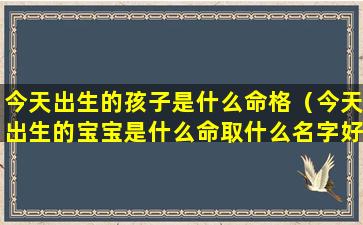 今天出生的孩子是什么命格（今天出生的宝宝是什么命取什么名字好）