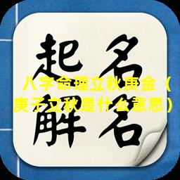 八字命理立秋庚金（庚子立秋是什么意思）