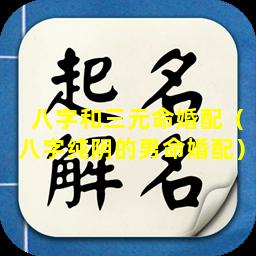 八字和三元命婚配（八字纯阴的男命婚配）