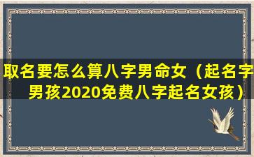 取名要怎么算八字男命女（起名字男孩2020免费八字起名女孩）