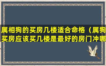 属相狗的买房几楼适合命格（属狗买房应该买几楼是最好的房门冲哪个方向最好）