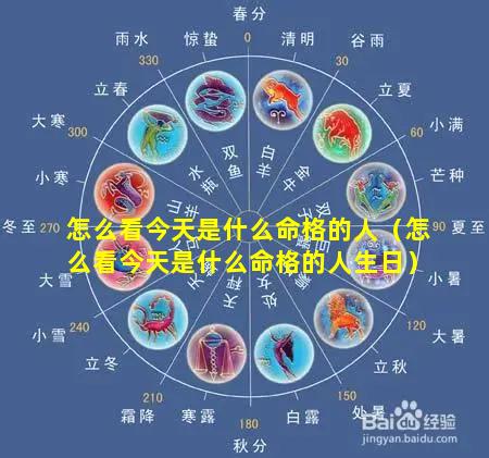 怎么看今天是什么命格的人（怎么看今天是什么命格的人生日）