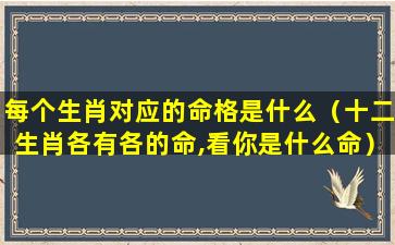 每个生肖对应的命格是什么（十二生肖各有各的命,看你是什么命）