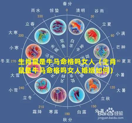 生肖鼠是牛马命格吗女人（生肖鼠是牛马命格吗女人婚姻如何）