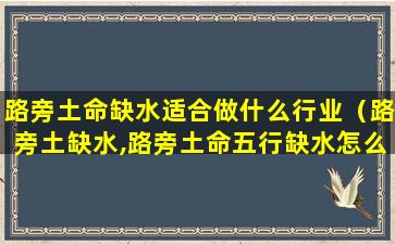 路旁土命缺水适合做什么行业（路旁土缺水,路旁土命五行缺水怎么办）