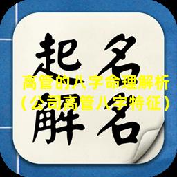 高管的八字命理解析（公司高管八字特征）