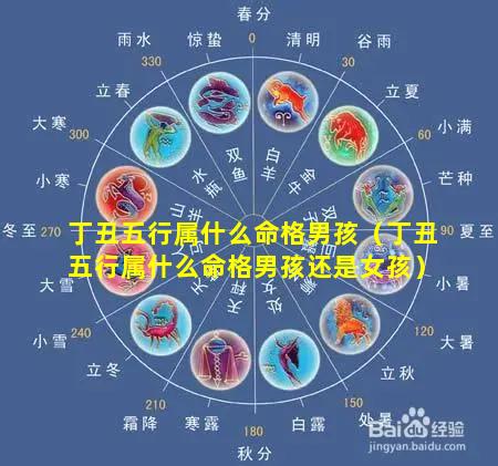 丁丑五行属什么命格男孩(丁丑五行属什么命格男孩还是女孩)-测友网