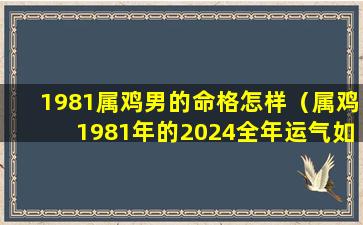 1981属鸡男的命格怎样（属鸡1981年的2024全年运气如何）