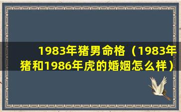 1983年猪男命格（1983年猪和1986年虎的婚姻怎么样）