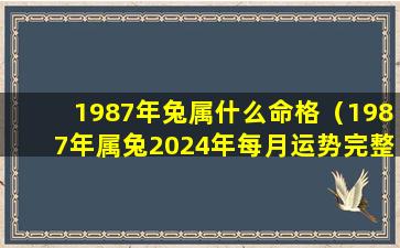 1987年兔属什么命格（1987年属兔2024年每月运势完整版）