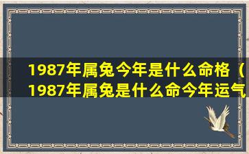 1987年属兔今年是什么命格（1987年属兔是什么命今年运气怎么样）