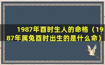 1987年酉时生人的命格（1987年属兔酉时出生的是什么命）