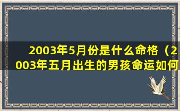 2003年5月份是什么命格（2003年五月出生的男孩命运如何）