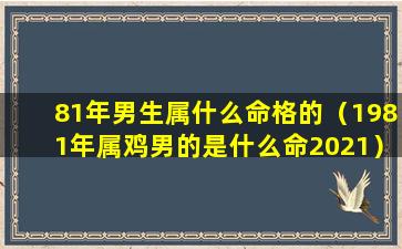 81年男生属什么命格的（1981年属鸡男的是什么命2021）