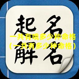 一共有哦多少种命格（一共有多少种命格）