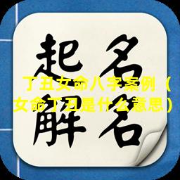 丁丑女命八字案例（女命丁丑是什么意思）
