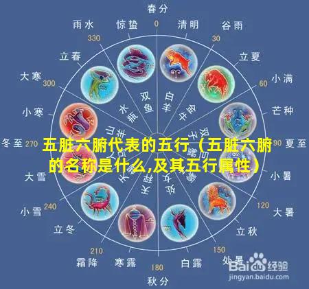 五脏六腑代表的五行（五脏六腑的名称是什么,及其五行属性）