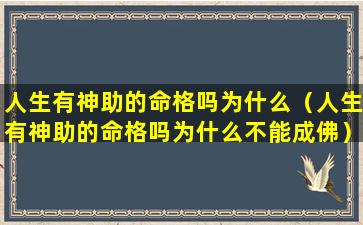 人生有神助的命格吗为什么（人生有神助的命格吗为什么不能成佛）