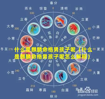 什么是麒麟命格男孩子呢（什么是麒麟命格男孩子呢怎么解释）