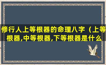 修行人上等根器的命理八字（上等根器,中等根器,下等根器是什么意思）
