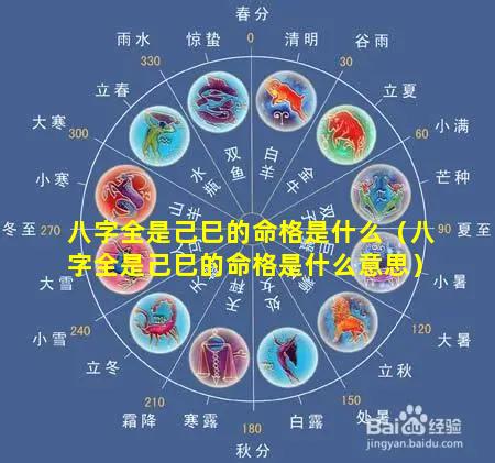 八字全是己巳的命格是什么（八字全是己巳的命格是什么意思）