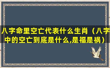 八字命里空亡代表什么生肖（八字中的空亡到底是什么,是福是祸）