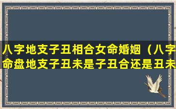 八字地支子丑相合女命婚姻（八字命盘地支子丑未是子丑合还是丑未冲）