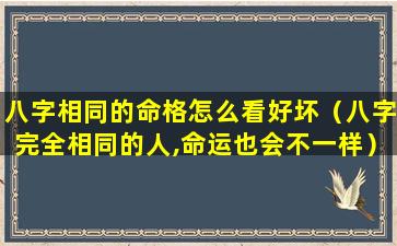 八字相同的命格怎么看好坏（八字完全相同的人,命运也会不一样）