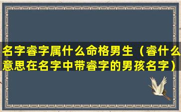 名字睿字属什么命格男生（睿什么意思在名字中带睿字的男孩名字）
