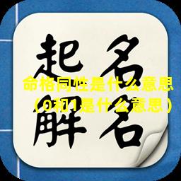 命格同性是什么意思（0和1是什么意思）