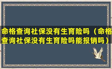 命格查询社保没有生育险吗（命格查询社保没有生育险吗能报销吗）