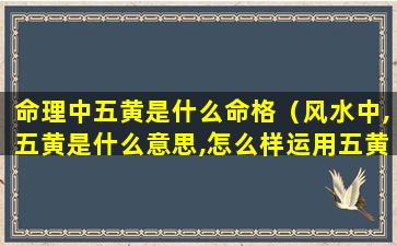 命理中五黄是什么命格（风水中,五黄是什么意思,怎么样运用五黄）