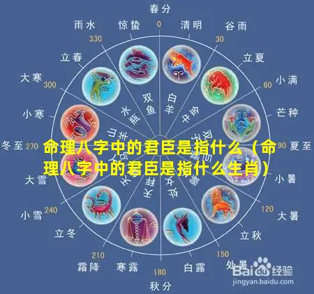 命理八字中的君臣是指什么（命理八字中的君臣是指什么生肖）
