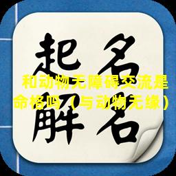 和动物无障碍交流是命格吗（与动物无缘）