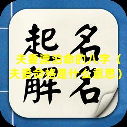 夫妻漂泊命的八字（夫妻命格是什么意思）