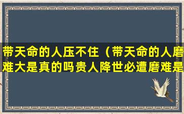带天命的人压不住（带天命的人磨难大是真的吗贵人降世必遭磨难是怎么回事）