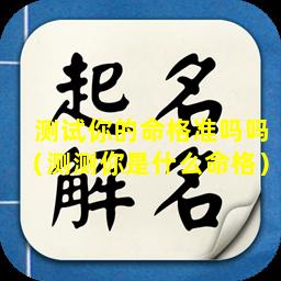 测试你的命格准吗吗（测测你是什么命格）