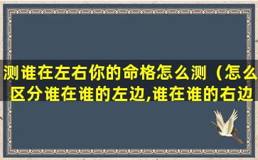 测谁在左右你的命格怎么测（怎么区分谁在谁的左边,谁在谁的右边）