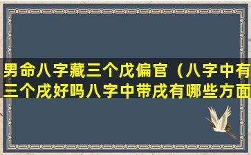 男命八字藏三个戊偏官（八字中有三个戌好吗八字中带戌有哪些方面）