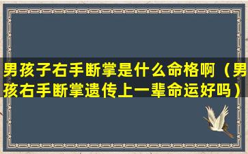 男孩子右手断掌是什么命格啊（男孩右手断掌遗传上一辈命运好吗）