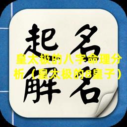 皇太极的八字命理分析（皇太极的8皇子）