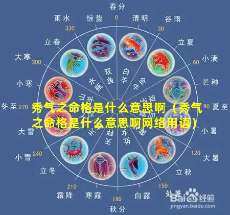 秀气之命格是什么意思啊（秀气之命格是什么意思啊网络用语）