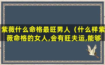 紫薇什么命格最旺男人（什么样紫薇命格的女人,会有旺夫运,能够夫荣子贵）
