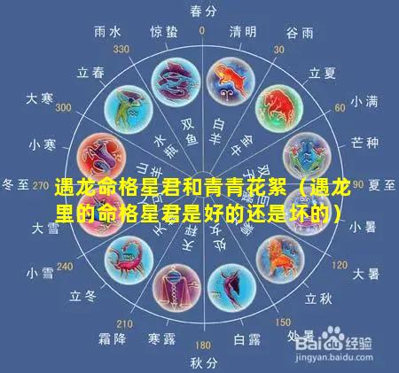 遇龙命格星君和青青花絮（遇龙里的命格星君是好的还是坏的）