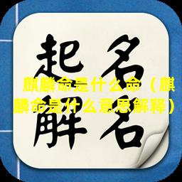 麒麟命是什么命（麒麟命是什么意思解释）